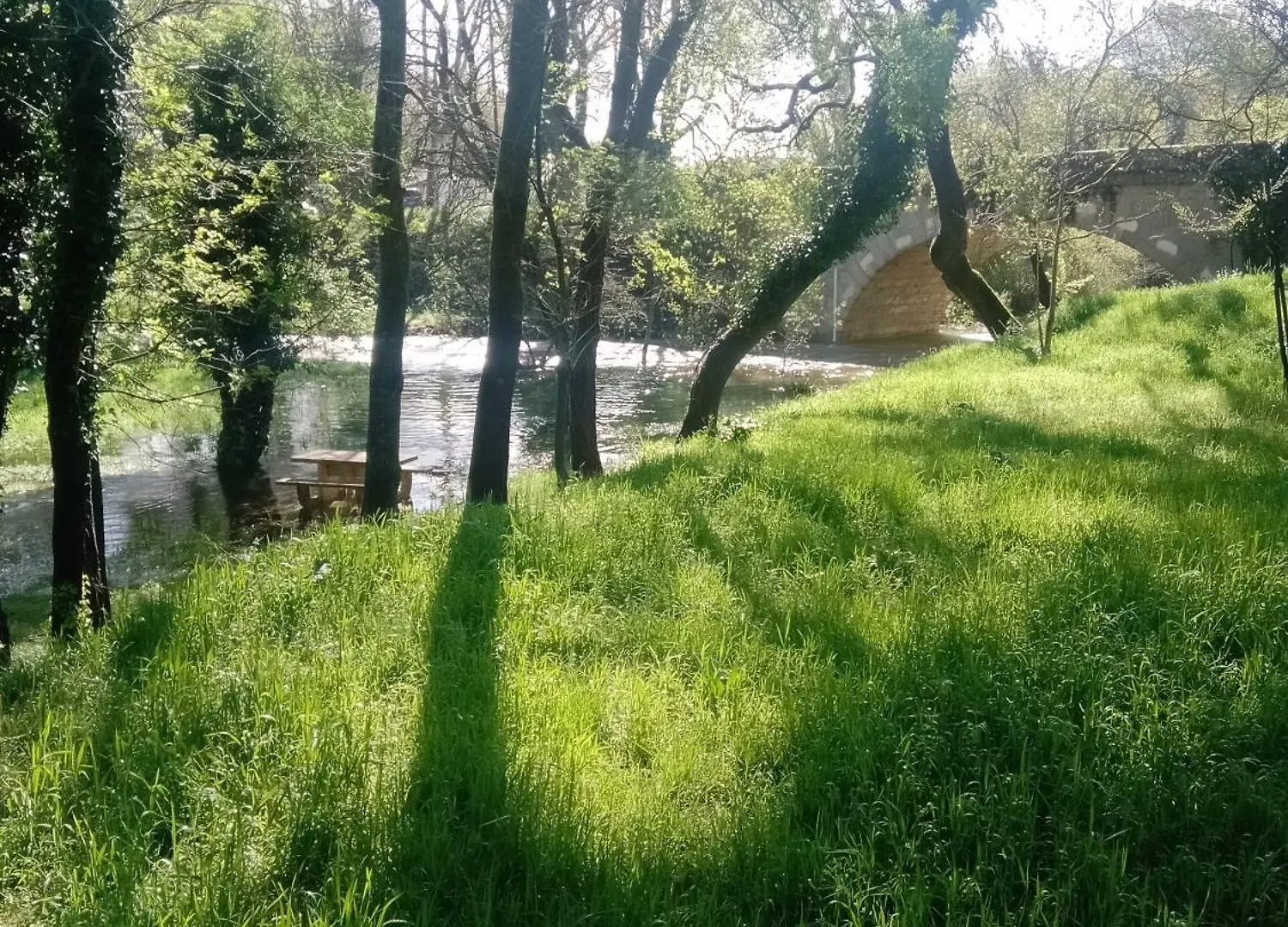 Studio Magnolia Sainte-Anastasie-sur-Issole Lägenhet